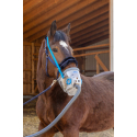 Inhalateur à ultrasons pour chevaux AirOne