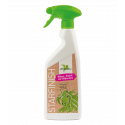 Star Finish, 500 ml Bense & Eicke