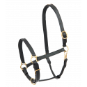 Licol en cuir STAR Robust Waldhausen
