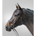 Bridon Lifestyle STAR Waldhausen