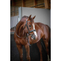 Penélope Bridle Daily Purasangre