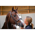 Penélope Bridle Daily Purasangre