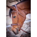 Bridon Penelope US Pur-sang/Cheval