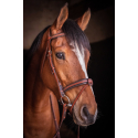 Bridon Penelope US Pur-sang/Cheval