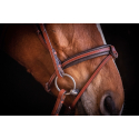 Bridon Penelope US Pur-sang/Cheval