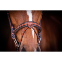 Bridon Penelope US Pur-sang/Cheval