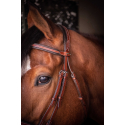 Bridon Penelope US Pur-sang/Cheval