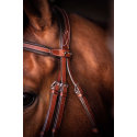 Bridon Penelope US Pur-sang/Cheval