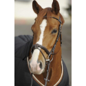 Bridon Penelope Point Sellier