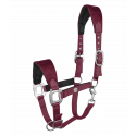 Rom halter Waldhausen
