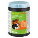 Goudron de Norvège 1 litre pour les sabots du cheval