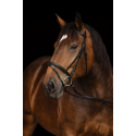 Bridon pour cheval de trait Kerbl