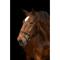 Bridon pour cheval de trait Kerbl