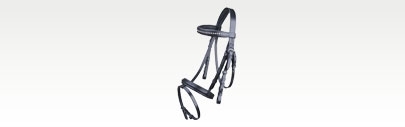 Bridons cheval