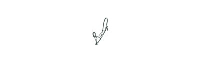 Licol Ethologique