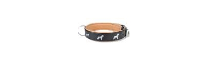 Collier et harnais pour chien
