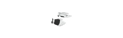 Equipement meneur