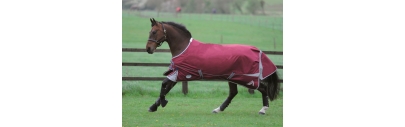 Regendecke