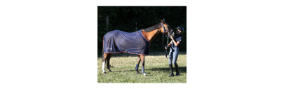 Couverture anti mouche cheval