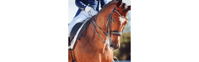 Destockage equipement cheval