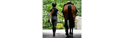 Destockage equipement Cavalier