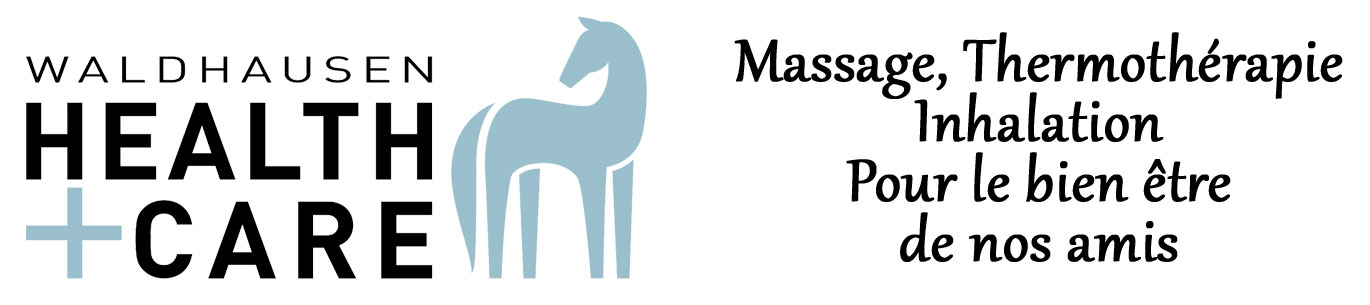 Waldhausen Health + Care