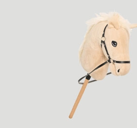 Hobby Horsing